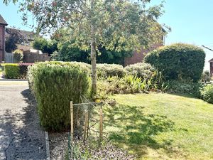 Communal Gardens- click for photo gallery